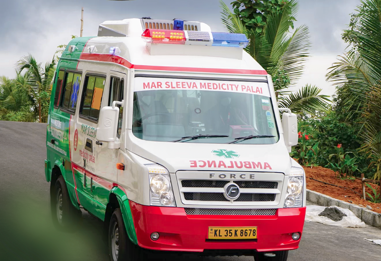 Emergency Services icon