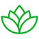 Siddha