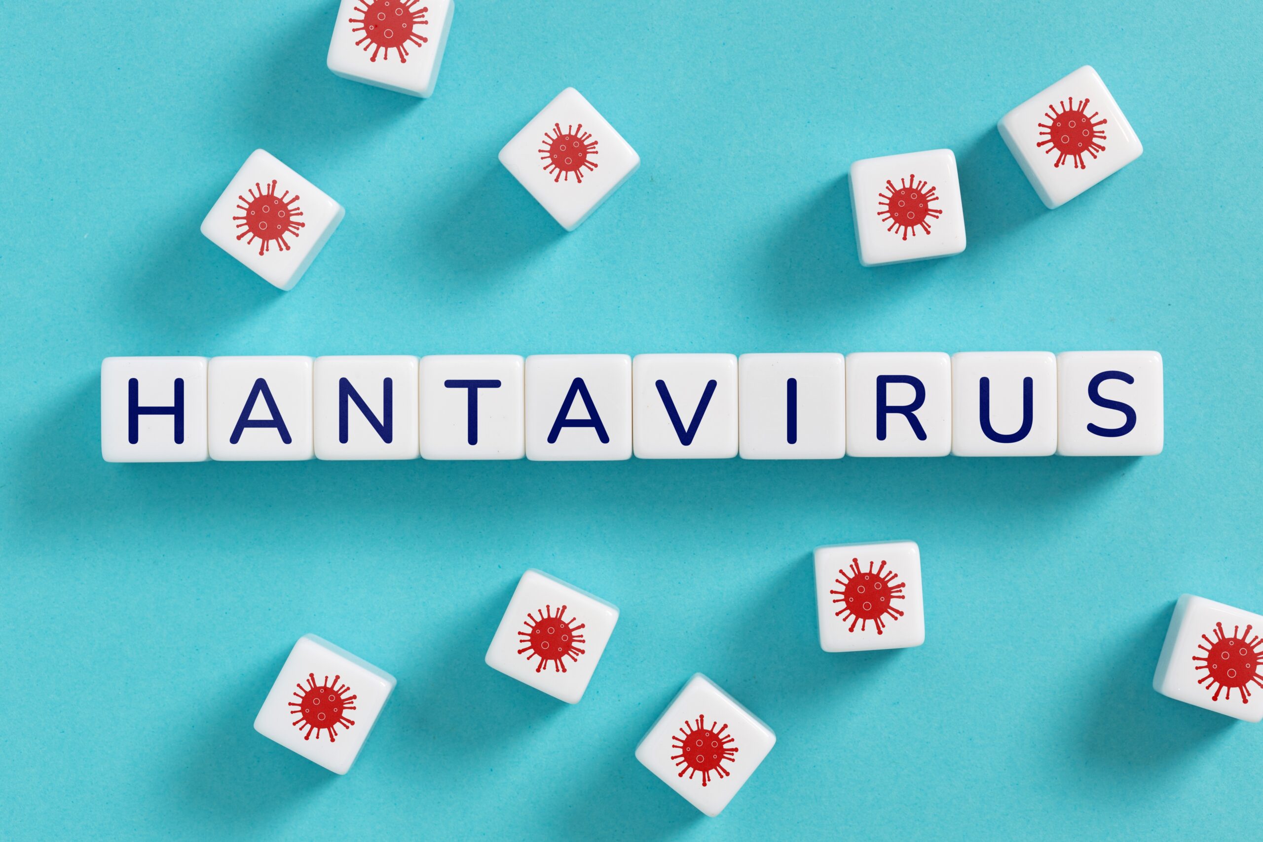 Hantavirus: Symptoms, Transmission, Prevention & Treatment